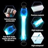 flintronic LED Leuchthalsband Hunde Halsband, Leuchtend Hundehalsband, Sicherheits LED Leuchtband für Hunde Katzen, LED Licht Blinklicht mit Klettverschluss, Helle Sicherheit für Die Nacht