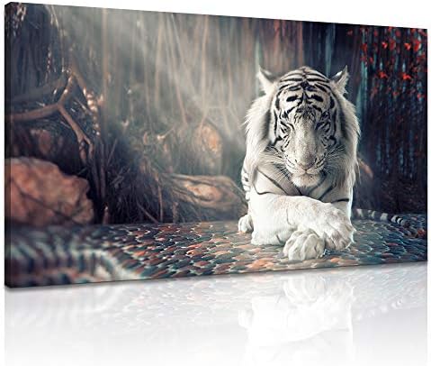 Derkymo White Tiger Meditation Picture Prints on Canvas Animal Wall Art Zen Artwork Paintings for Home Decoration Stretched and Framed Ready to Hang 20x36 Inches