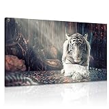 Derkymo White Tiger Meditation Picture Prints on Canvas Animal Wall Art Zen Artwork Paintings for Ho