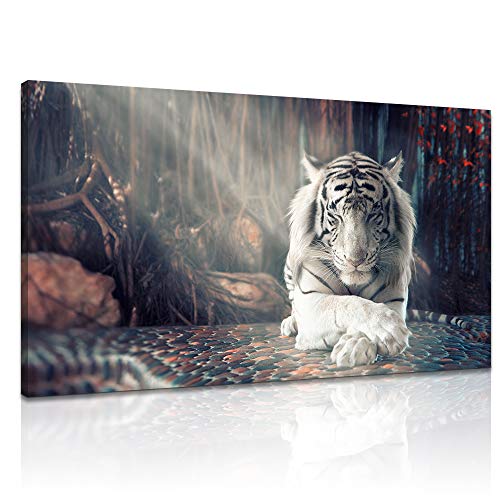 Derkymo White Tiger Meditation Picture Prints On Canvas Animal Wall Art Zen Artwork Paintings For Home Decoration Stretched And Framed Ready To Hang 20X36 Inches #TOP5