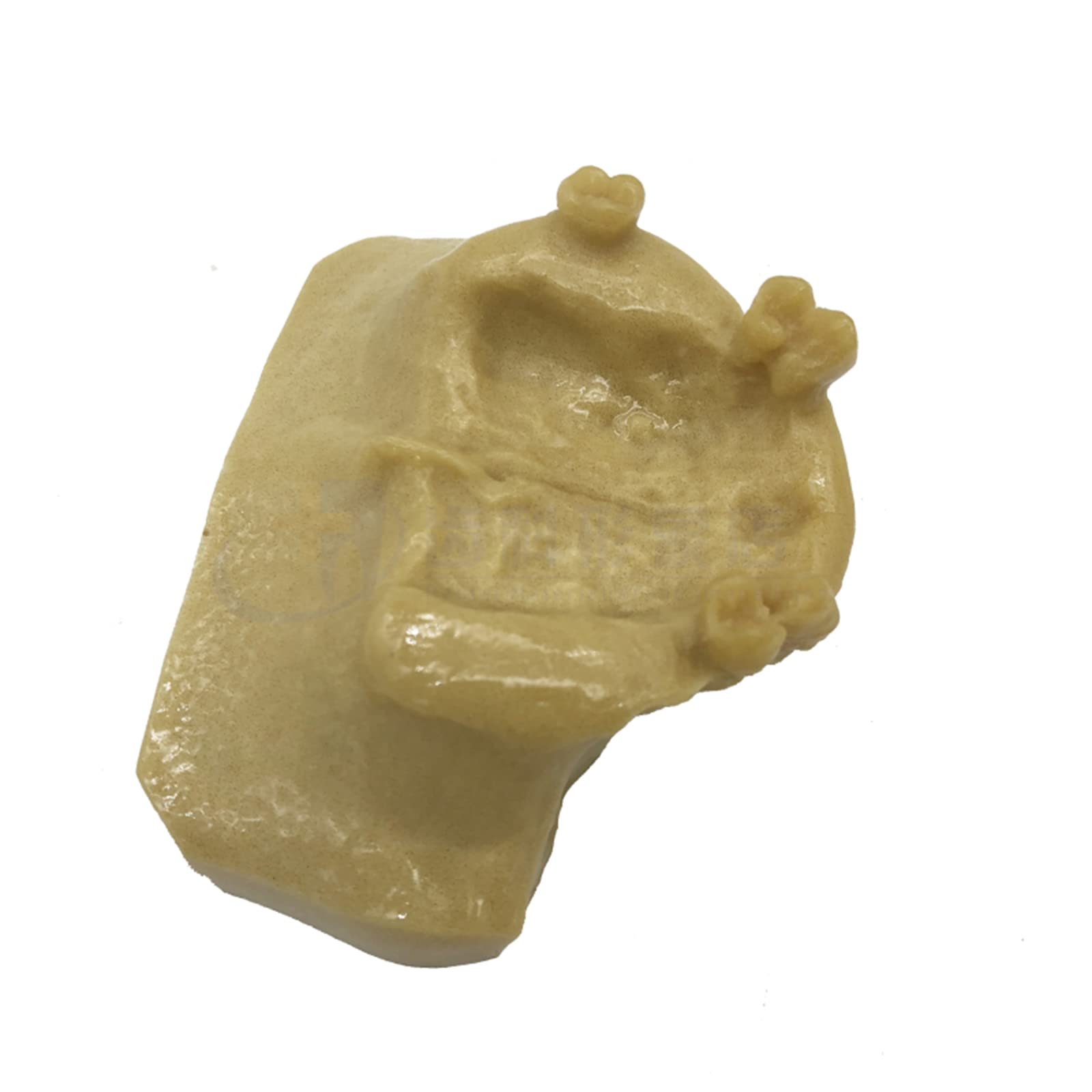 Modello di Studio Modello di addestramento per Il Sollevamento del Seno mascellare Dentale Modello di insegnamento per Lo Studio dei Denti dentali Modello di de，A