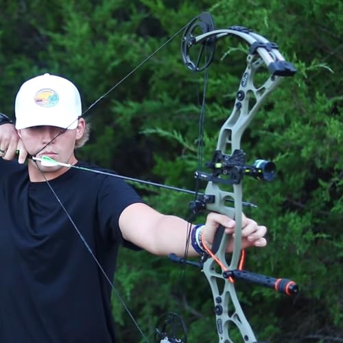 image for Sanlida 2024 Dragon 10 Flagship Top of The Line Hunting Compound Bow K
