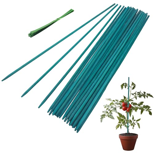 Garden Stakes, 30cm Bamboo Sticks Plant Support Sticks with Twist Ties, Green Plant Stakes for Garden or Home Floral Picks Gardening Tripods Makin (30CM 30PCS)