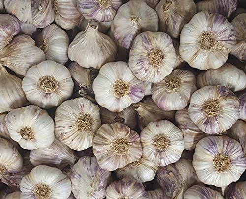  Ail Violet du Tarn Vrac, 500 g