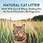 ARM & Hammer Plant Power Lightweight Plant-Based Clumping Cat Litter for Multi-Cat Homes, Highly Absorbent Natural Grain Formula, 14-Day Odor Control, Unscented 15 Lbs - Image 2