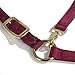 Intrepid International Miniature Horse Nylon Halter - Maroon, 3/4