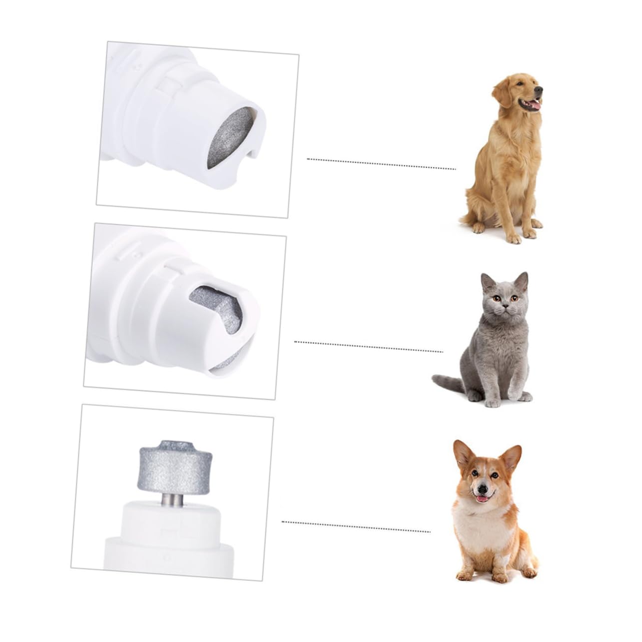 BESPORTBLE 3 Pièces broyeur de Chien électrique Coupe-Ongles Chien pour Grands Chiens broyeur d'ongles pour Animaux de Compagnie Coupe-Ongles électrique pour Animaux de Compagnie