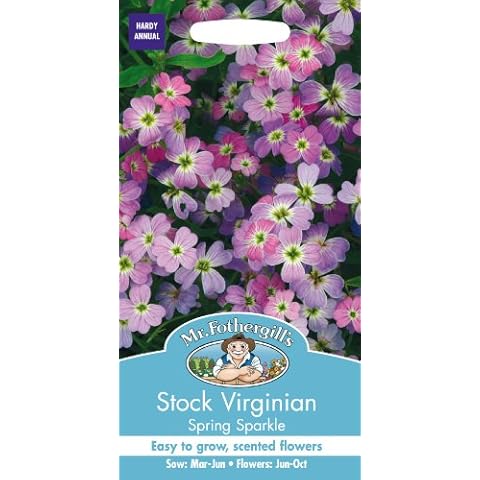 Mr Fothergill's Stock Virginian Spring Flower Seeds Cover