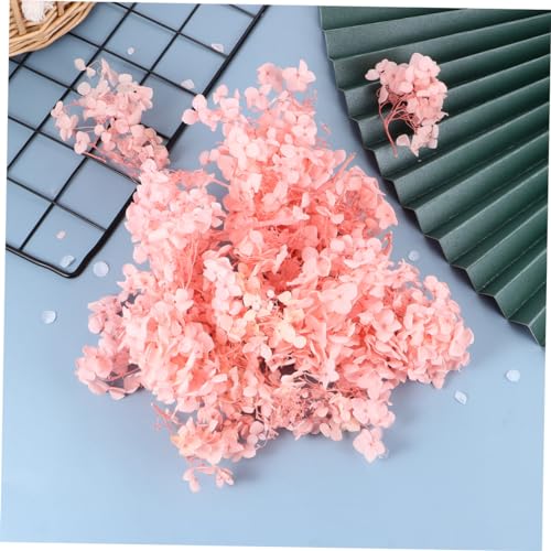 Pétalos secos naturales rosa de hortensia para decoración miniatura 4