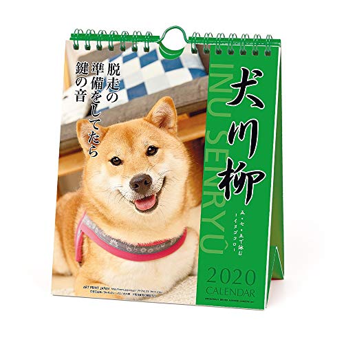 アートプリントジャパン 2020年 犬川柳（週めくり）カレンダー vol.005 1000109214