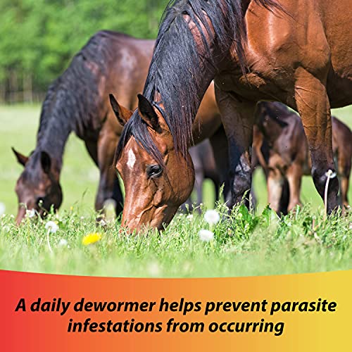 Farnam Pyrantelcare Daily Horse Dewormer 2.11% (Pyrantel Tartrate) For Horses Of All Ages, Equine Anthelmintic, Continuous Protection Against Small Stronglyes, Ascardis And Pinworms, 10 Lbs #TOP1