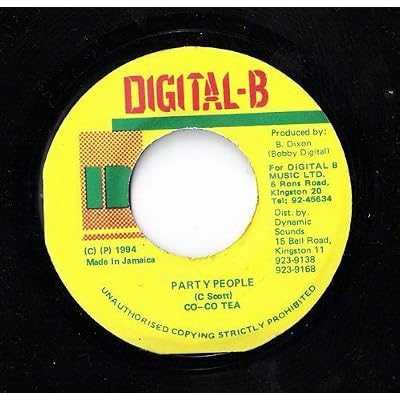 Party People 12 Inch (12" Vinyl Single) UK Digital B 1994