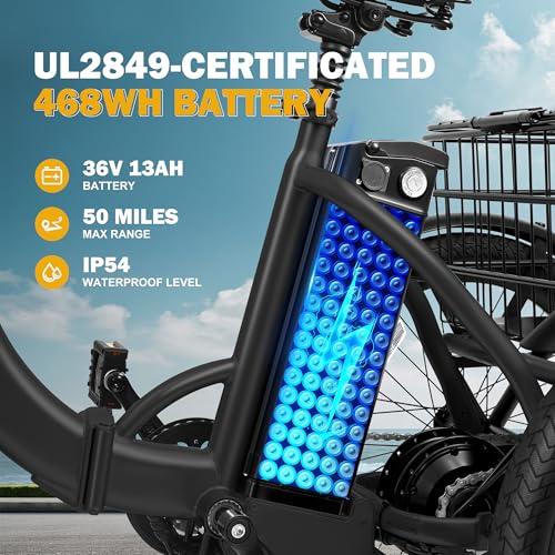 Qlife Triker Electric Bike Review