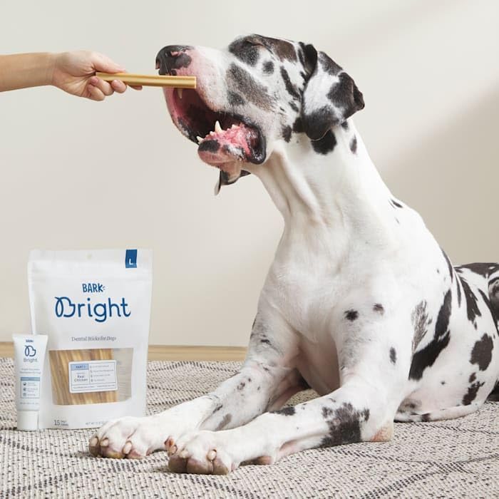Bark Bright Dental Sticks for Large Dogs Chews, 12.2 oz., Count of 15