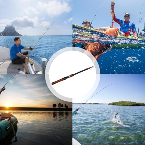 Canne à Baitcasting à réponse sensible et structure pliante - 4