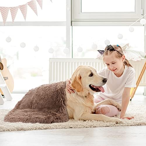 Kaket Plush Dog Blanket Washable, Ultra Soft Fluffy Dog Blanket for Small Dogs, Plush Pet Blanket for Dogs, Cats (Light Brown, 80 x 53 cm)