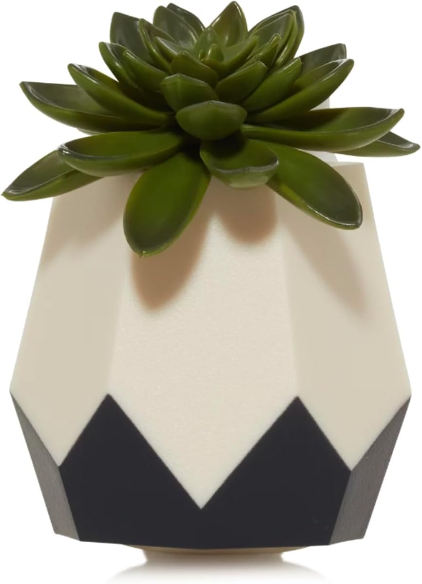 Yankee Candle Succulent Diffuser