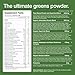 Huel Daily Greens Single Serve | Superfood Greens Powder | 91 Vitamins, Minerals, and Wholefood-Sourced Ingredients | Adaptogens, Antioxidants, Gut-Friendly Probiotics | 12 Pack