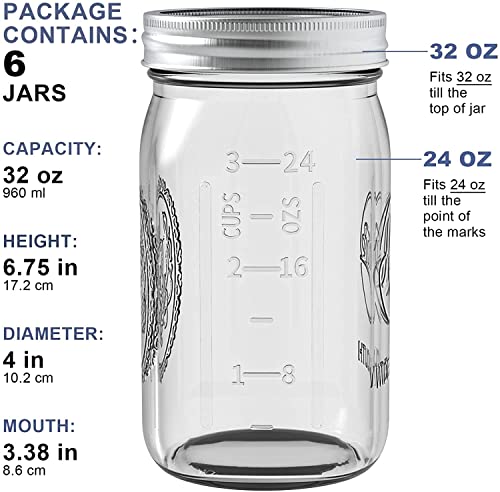Tebery Fermentiergläser 6 Stück 32oz Einmachgläser mit Deckel