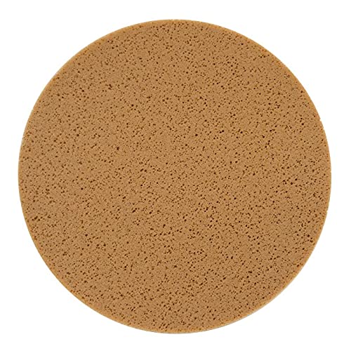 Power Sponge Float Replacement Sponge Discs- Sponge Float 16'' Sponge & Float Disc,Refina disc- Refina Power Float for Smoothing, Scraping and Floating of Plaster (Brown)