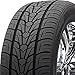 Nexen Roadian HP SUV All-Season Radial Tire -295/35R24XL 110V