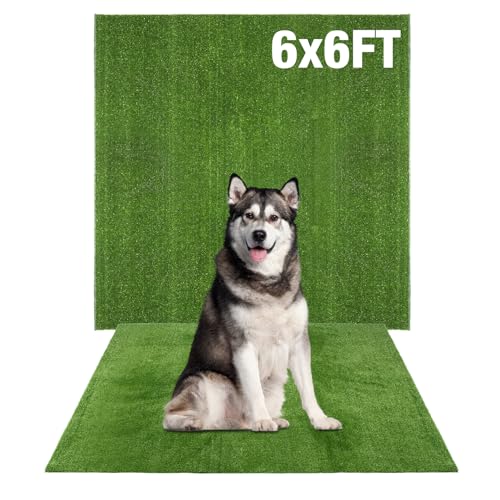 Image of GLOBREEN Large Artificial Grass Outdoor for Dogs - 6 FT X 6 FT Fake Grass for Pets Potty Training - Turf Rug Roll for Kennel Playpen Whelping