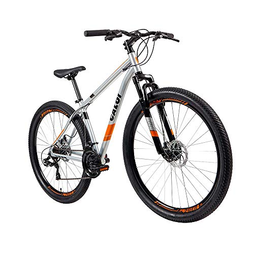 Bicicleta Mtb Caloi Two Niner Alloy Aro 29 - Susp Dianteira - Quadro Alumínio - Shimano - 21 Velocid