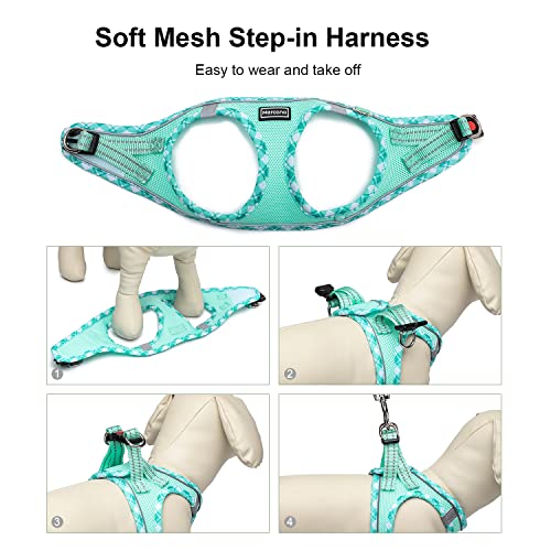 Mercano Soft Mesh Dog Harness And Leash Set, No-Chock Step-In Reflective Breathable Lightweight Easy Walk Escape Proof Vest Harnesses With Safety Buckle For Small Medium Dogs, Cats (Light Green, Xxs) #TOP7