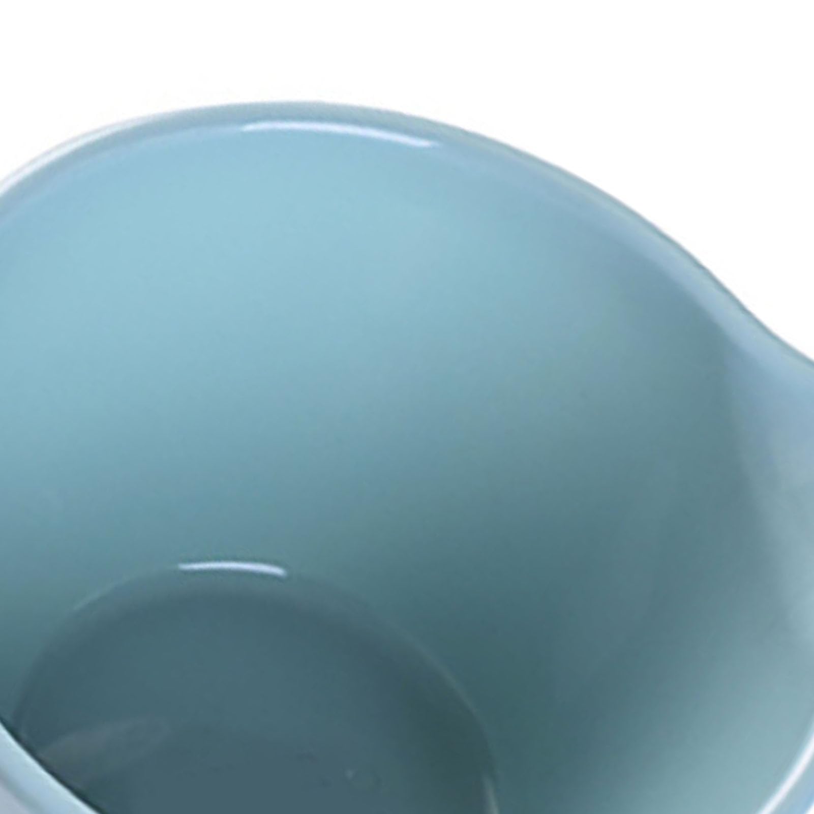 lyrlody Wasserkelle Plastikbad Schaufel Wiederverwendbar Verdickt Tiefes Breites Design für Küchenbadeblüte Waschen mit Großer Kapazität Einfaches Hangloch (S)