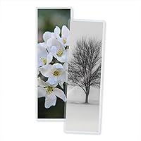 Vista 1 de TruLam Bolsas de laminación – Marcador tamaño mediano – 2-1/2 pulgadas x 7-3/4 pulgadas – 3 mil de grosor – 100 por caja – Compatible con la mayoría