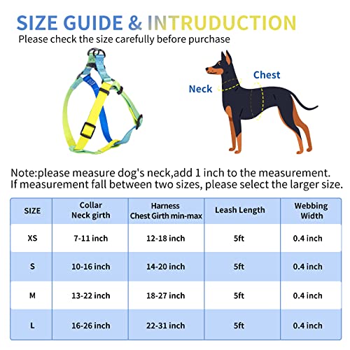 Aiitle Step In Dog Harness Collar Leash Set - Adjustable Heavy Duty No Pull Halter Harness - Buckle With Locking System,Double D Ring - Walking Running For Small Medium Large Dogs,Blue Gradient Xs #TOP4