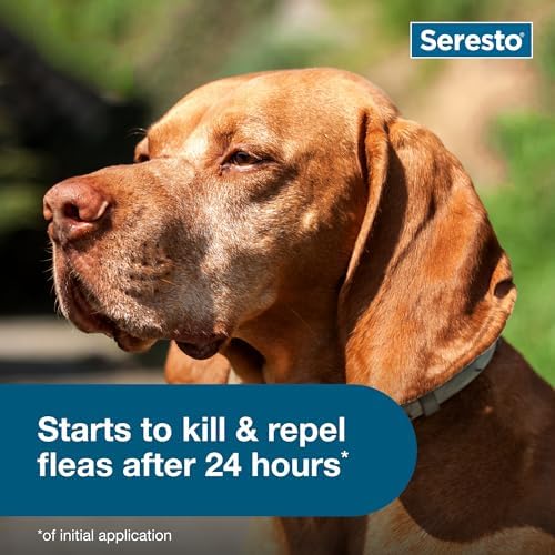 Seresto Flea & Tick Collar For Dogs Over 18 lbs., Treatment & Prevention, Vet-Recommend, 8 Month Protection - View 7