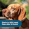 Seresto Flea & Tick Collar For Dogs Over 18 lbs., Treatment & Prevention, Vet-Recommend, 8 Month Protection #4