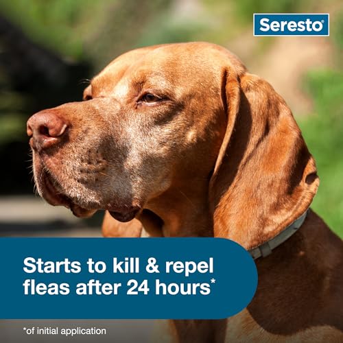 Seresto Flea & Tick Collar For Dogs Over 18 lbs., Treatment & Prevention, Vet-Recommend, 8 Month Protection
