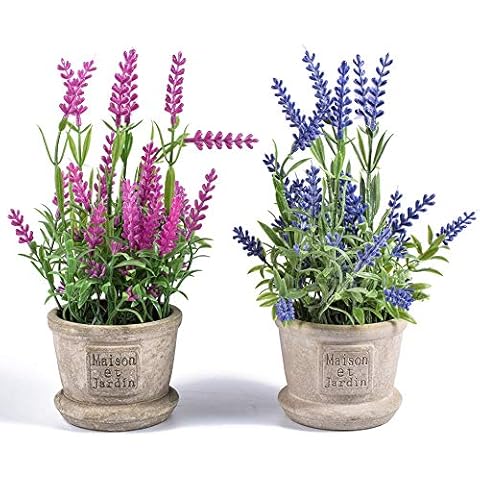 Fleurs Artificielles Lavande Ecosides Cover