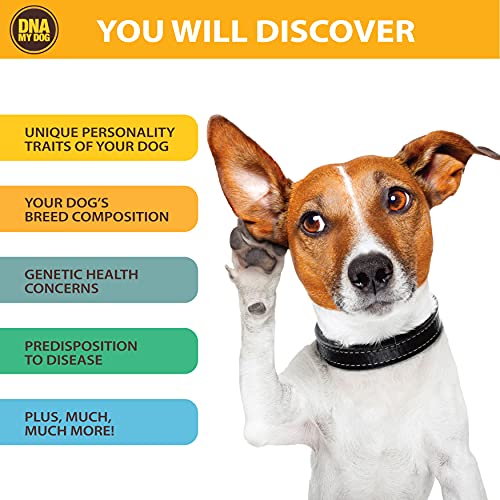 Dna My Dog Genetic Testing Kit – Mixed Breed Identification, Personality Traits – for Puppies to Adult Dogs, Non… - Image 3