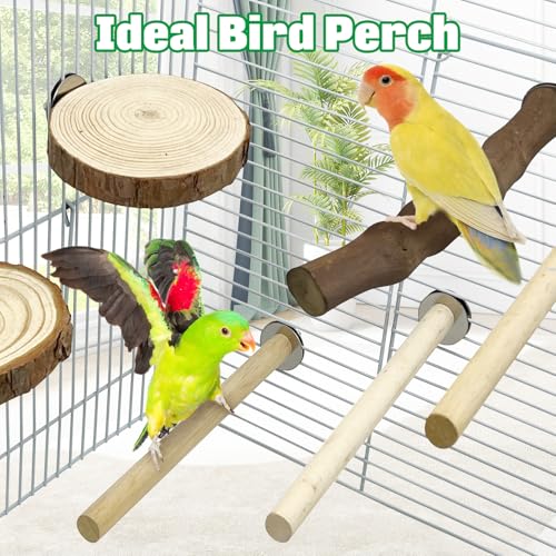 Image of Hamiledyi 10 PCS Natural Wood Bird Perches for Cage Parakeet Stand Bird Cage Accessories Parrot Perch Branch Paw Grinding Fork Parakeet Platform for Small and Medium Sized Birds Budgie Cockatiel