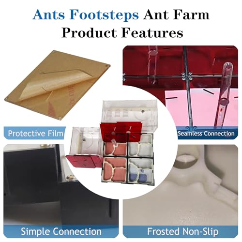 Ants Footsteps Ant Farm Nest Science Diy Terrarium Kit Care thumb #2