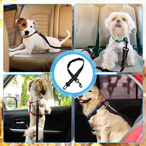 Ceinture Sécurité Chien Voiture - Harnais Ajustable 53-83cm (réfléchissant, élastique)