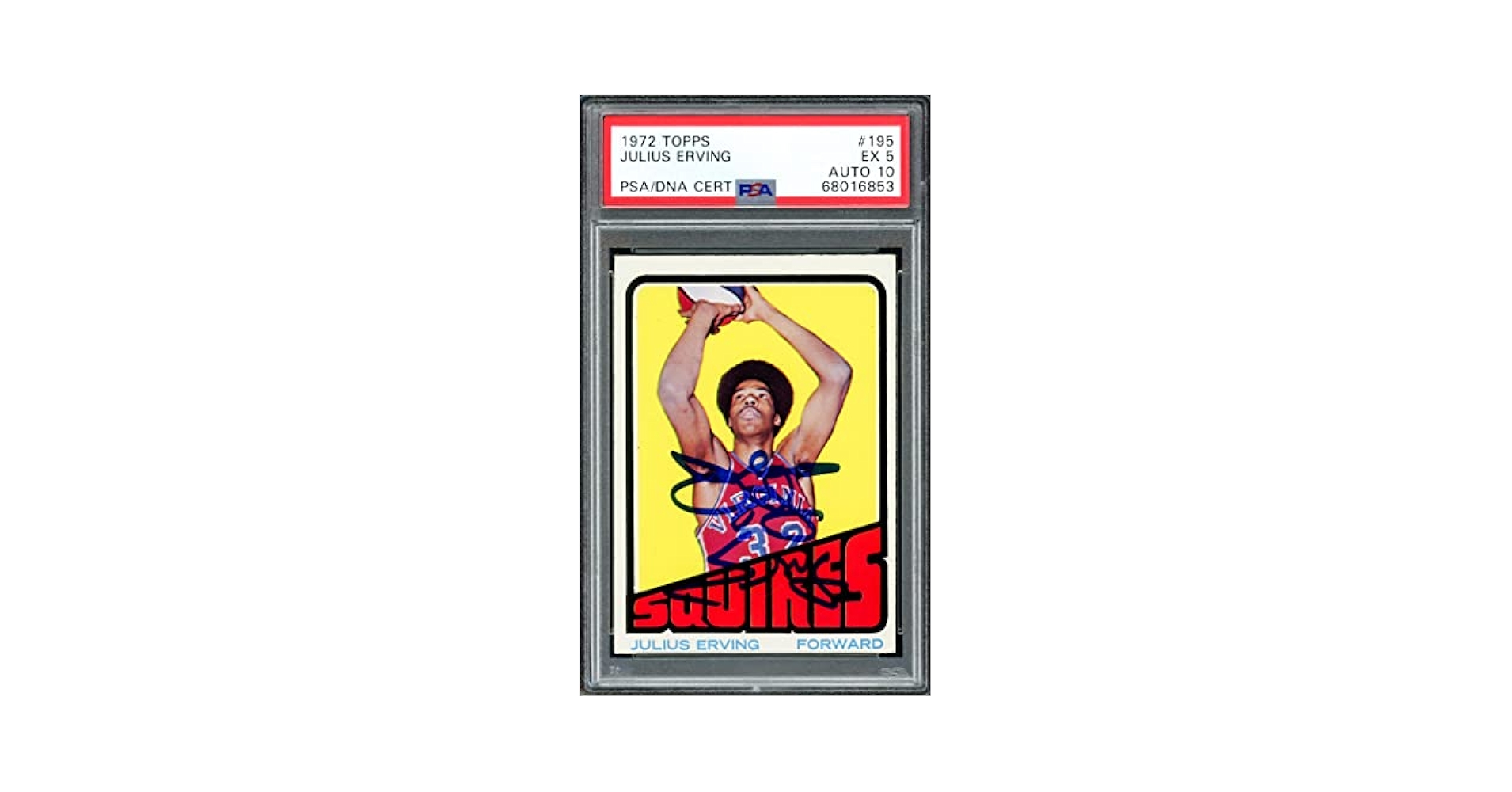 NBA Julius Erving 直筆サインカード NBA Julius Erving Signed Trading Cards, Collectible Julius
