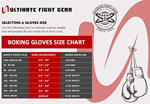 Metallic Boxing Gloves Mma Muay Thai Bag Work Training & Fight (Purple, 12Oz) #TOP5