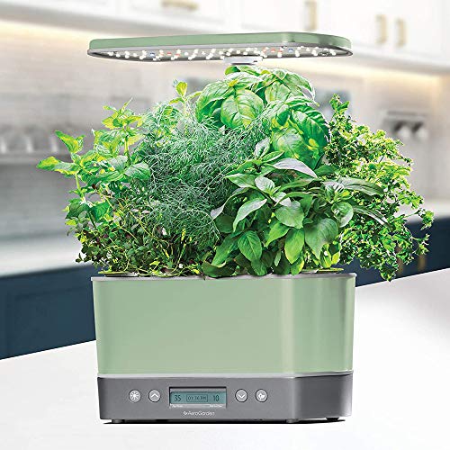AeroGarden Harvest Elite Indoor Garden Hydroponic System with LED Grow Light and Herb Kit, Holds up to 6 Pods, Sage