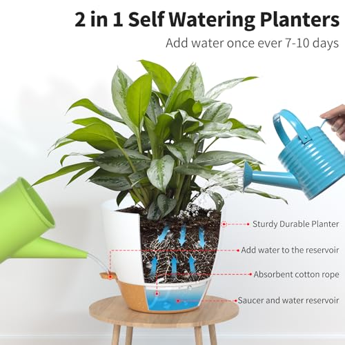 FIASON Plant Pots Self Watering Planters 12/10/9 Inch Plastic Flower Pot with Drainage Holes and Watering Lip for Indoor Outdoor Plants (3 Pack,White) by FIASON - Used condition - Image 3