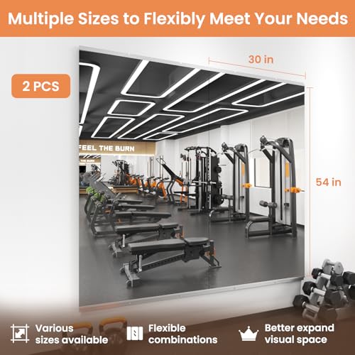 Image of LOAAO Home Gym Mirror 54 inchx30 inch, 2 PCS