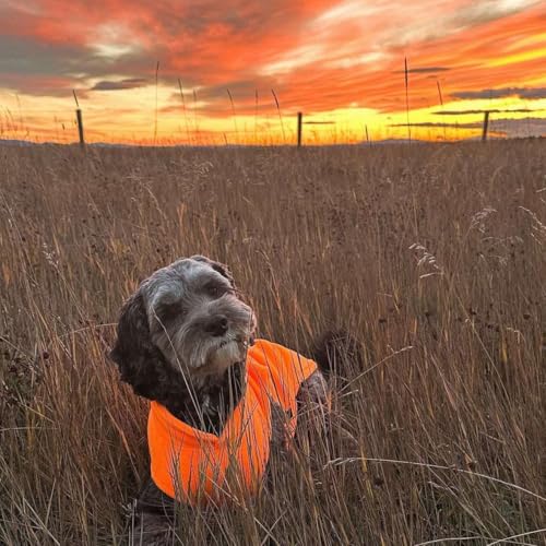Image of JACKO & CO - Fleece Vest Dog Sweater with Leash Ring - Soft, Warm & Lightweight Pullover Coat for Small & Medium Dogs, Puppies & Cats - Cozy Fall /Winter /Spring Pet Jacket (Orange, X-Large 17-25lbs)