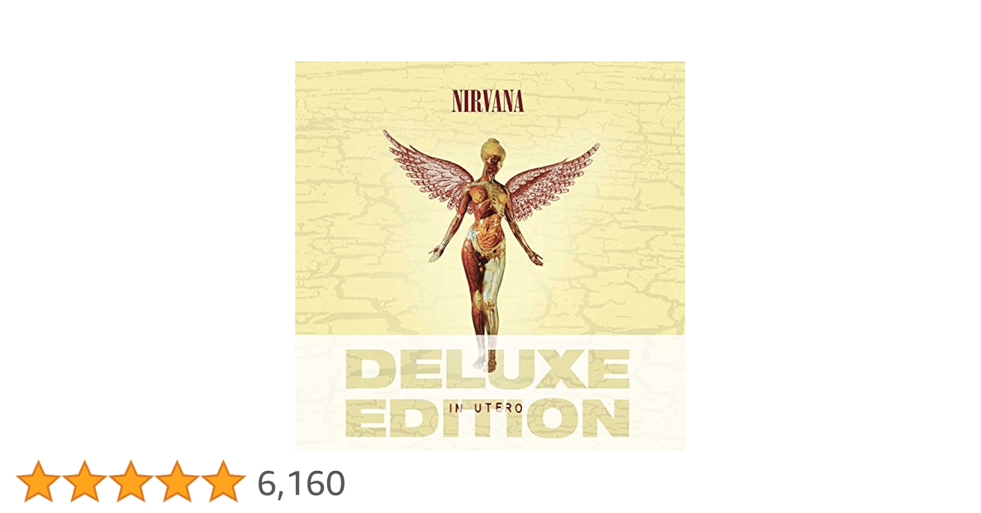 洋楽 [3CD+1DVD] In Utero 20th Anniversary Nirvana - In Utero - 20th Anniversary Deluxe Edition Vinyl