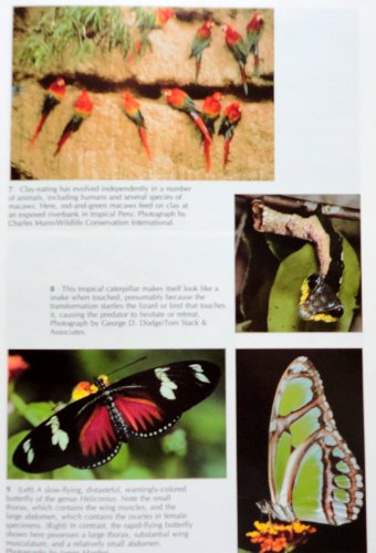 Animal Behavior: An Evolutionary Approach 0878930175 Book Cover