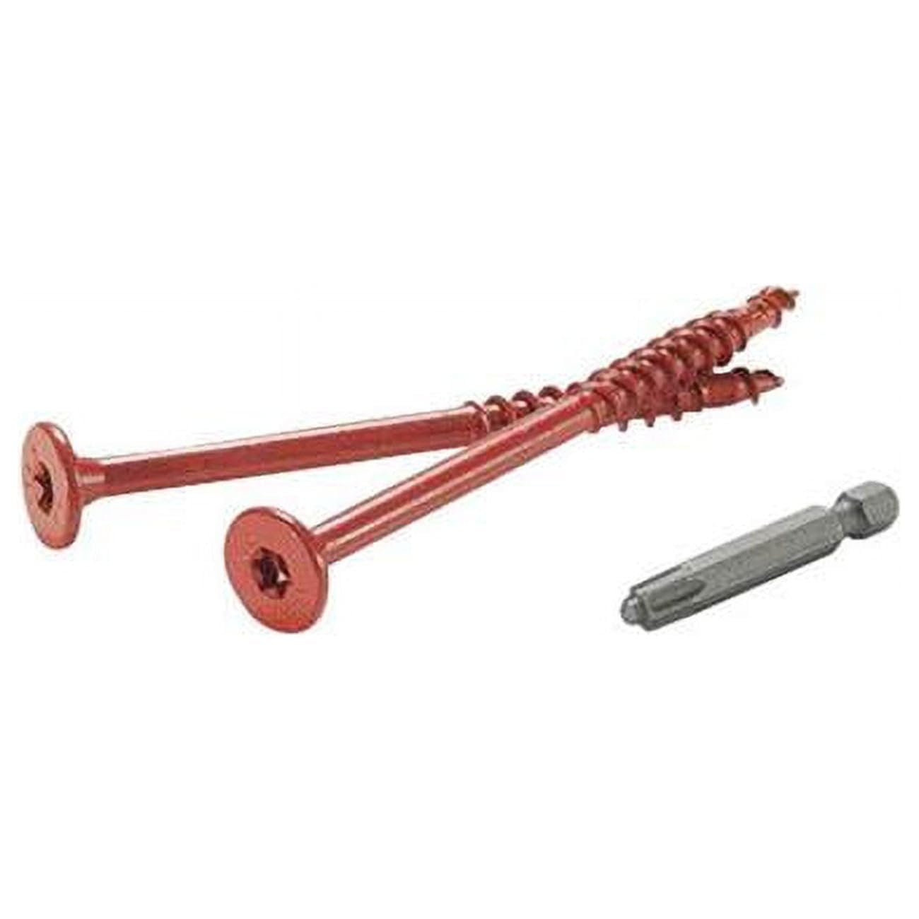 法螺貝　37.2cm Amazon.com: FastenMaster Flatlok No. 14 x 3-1/2 in. L #40 Torx Tap