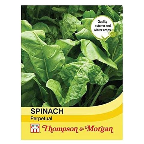 Thompson & Morgan Spinach Perpetual Seeds Cover