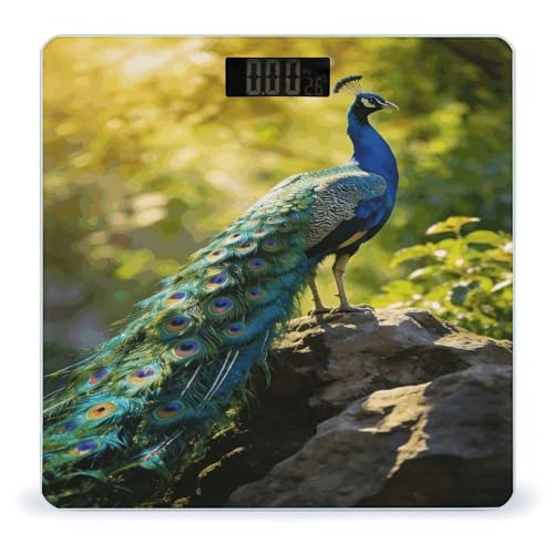 Báscula digital de baño con plataforma vidrio templado 10x10 in